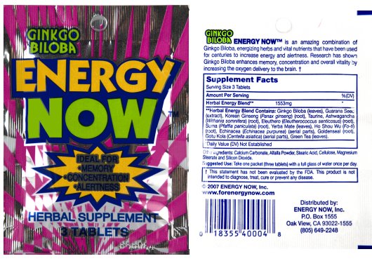 Energy Now Ginkgo Biloba — Herbal Weight / Energy Supplement | 2 Full Boxes (24 Packs × 3 Tablets each)